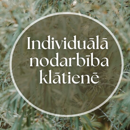 Individuālā Nodarbība Klātienē